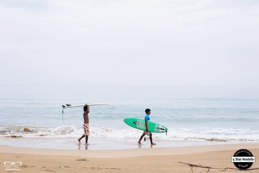 Surfing in Paradise, starting at Spin Designer Hostel