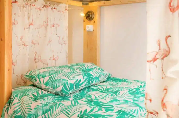 Best hostels in Canarias: Avocado Surf Hostel