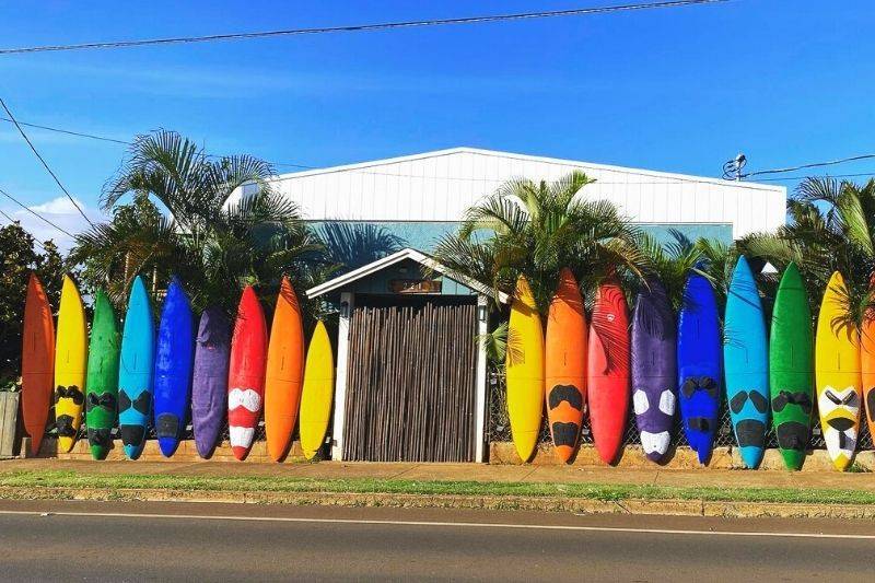 Aloha Surf Hostel