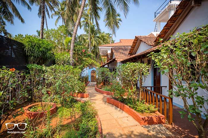 The Funky Monkey Hostel is one of the best hostels in Goa, India