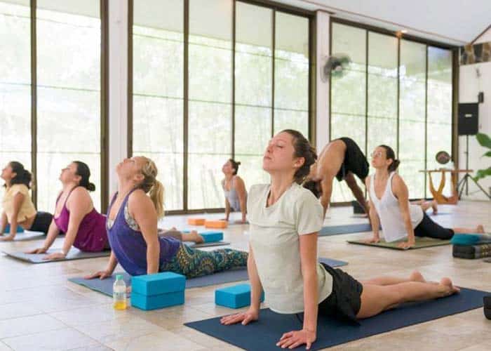 8-Day Wellness Retreat with Yoga, Meditation and more in Ko Pha Ngan