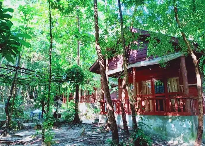 Sweet Jungle Bungalows for couples