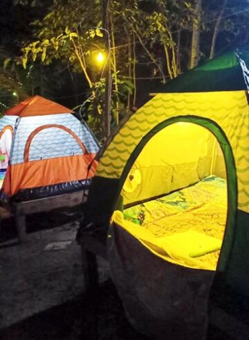 Sweet Jungle Tents for backpackers