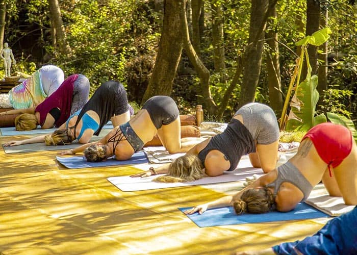 13-Day 100-hr Yin Healing- Yin Yoga Therapy Teacher Training, Bali