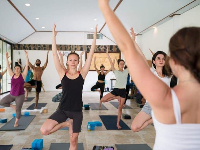 4-Day Vegan Wellness Retreat with Yoga, Meditation, and More in Ko Pha Ngan, Surat Thani