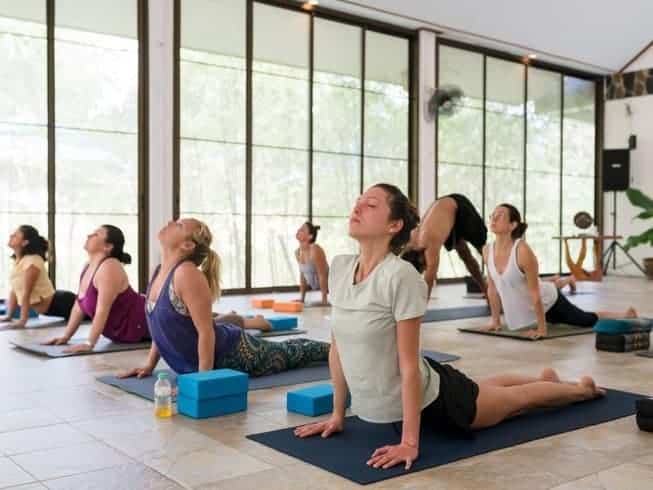 8-Day Yoga and Meditation, Vegan Wellness Retreat, and More in Koh Phangan