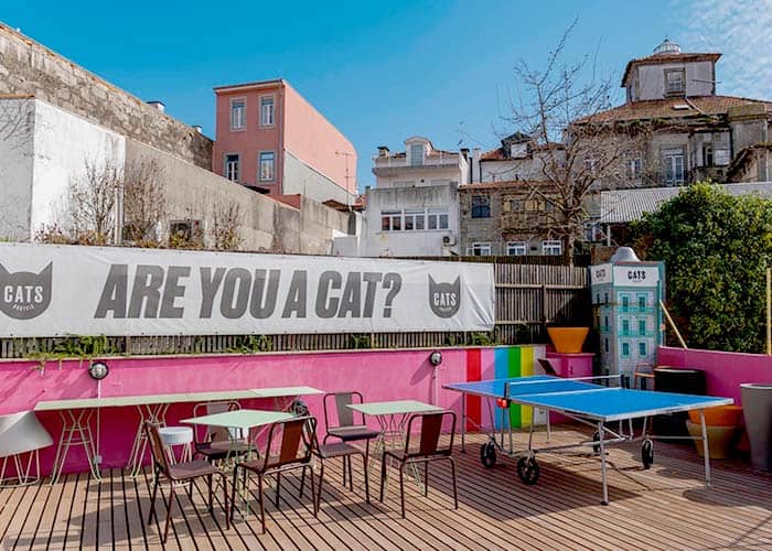 CATS Porto Hostel Roof